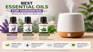 Best essential oils for humidifier use including lavender, eucalyptus, and peppermint