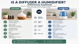 is a diffuser a humidifier infographic explaining the main differences between diffusers and humidifiers
