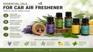 collection of essential oils for an essential oil car air freshener including lavender, tea tree, eucalyptus, lemon, and peppermint