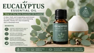 best essential oil scents featuring eucalyptus for fresh air, easy breathing, and respiratory support