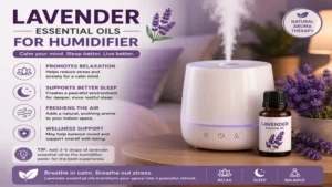 Lavender essential oils for humidifier promoting calmness and better sleep