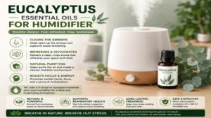 Eucalyptus essential oils for humidifier helping create a fresh and invigorating atmosphere