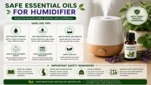 Safe essential oils for humidifier use with proper dilution and maintenance practices