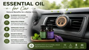 Essential oil for car providing a natural way to eliminate odors and improve the atmosphere inside a vehicle.