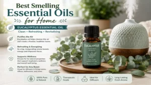 best smelling essential oils for home with eucalyptus essential oil creating a clean and refreshing indoor environment.