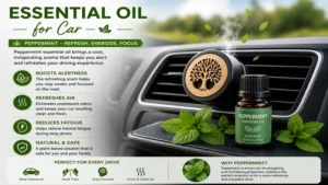 Essential oil for car with peppermint oil helping create a refreshing and energizing drive.